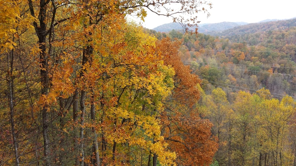 This is a photo from October Foliage season from the top deck & hot tub.