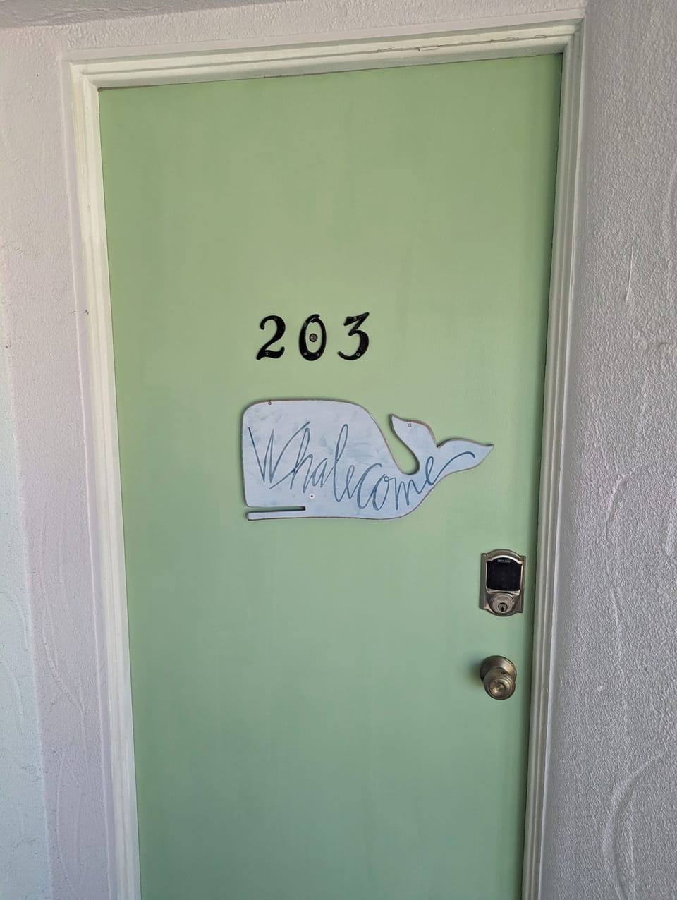 Welcome to Snook's Nook!