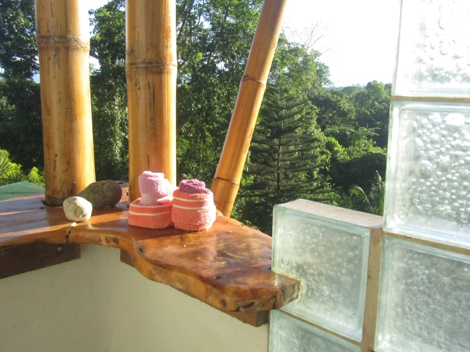 outdoor shower - full monty to gulfo dulce- no lights-no neighbors, just monkeys
