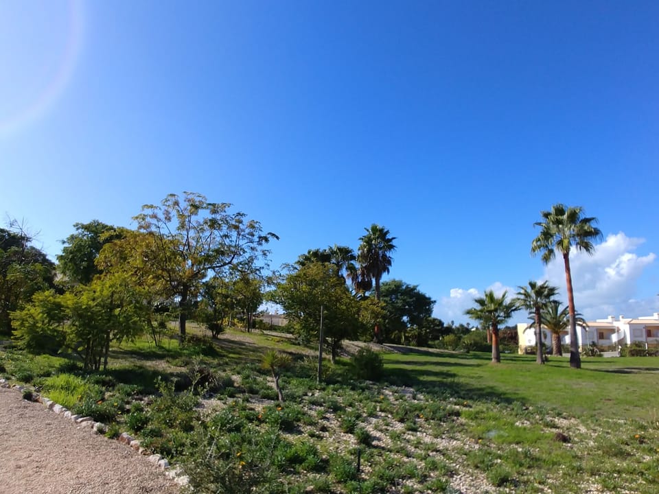 communal garden