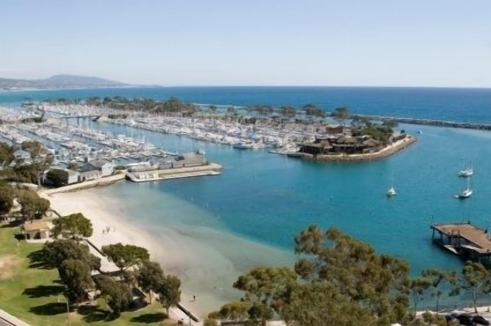 Walk To Harbor With Over 2500 Yachts=Take a ride to Catalina Island