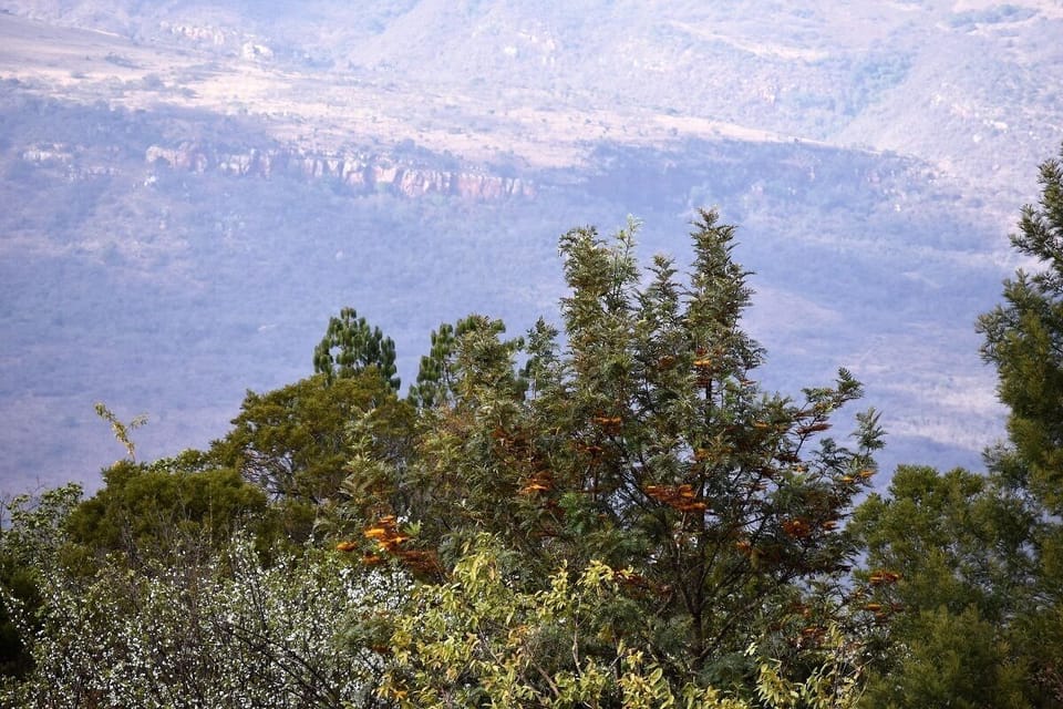Mountain Views