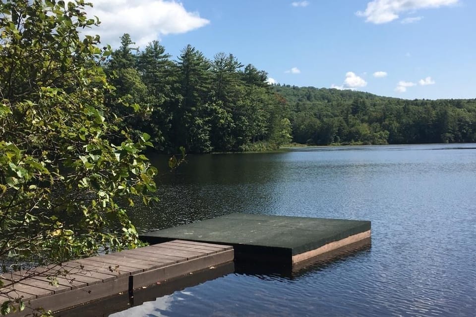 Walkway and dock