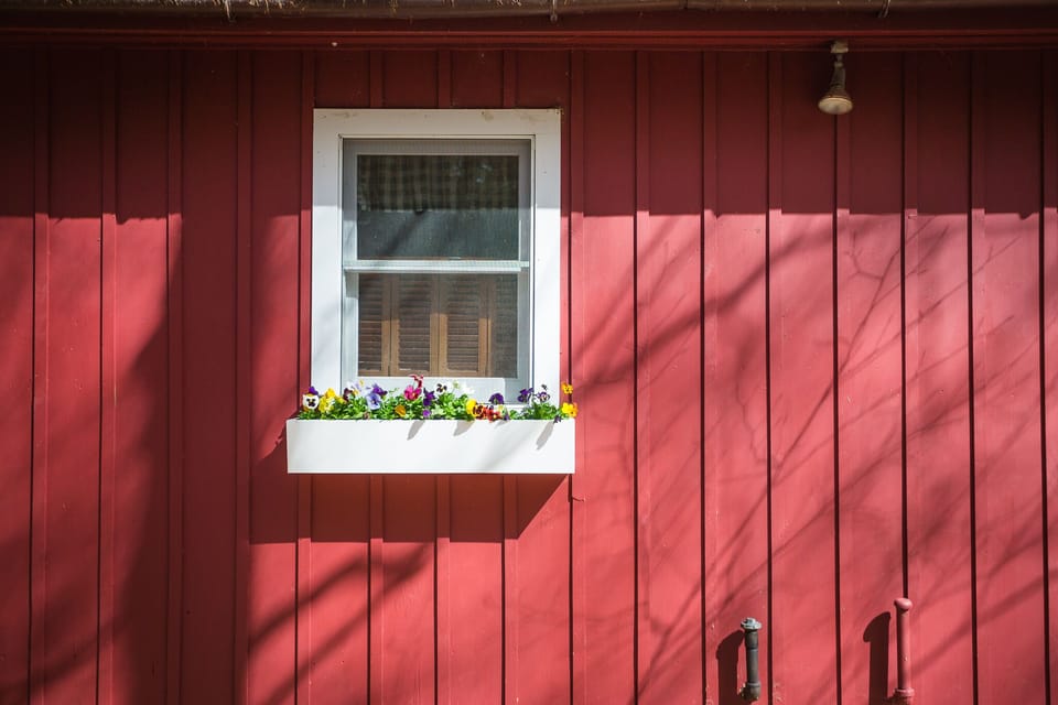 Flowers near door