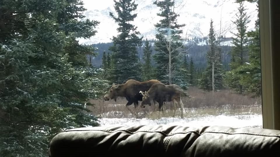 View from property