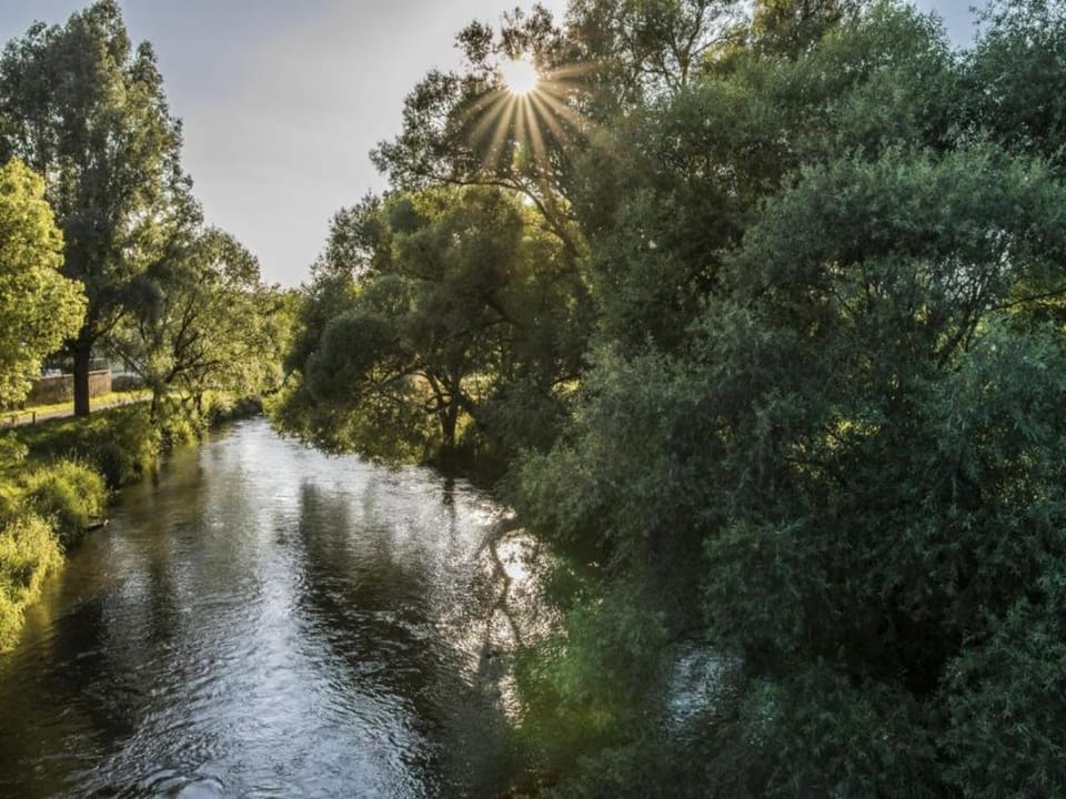 Surroundings [summer] (1-5 km)