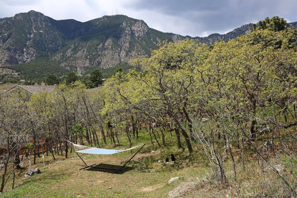 Rest easy in the backyard hammock.