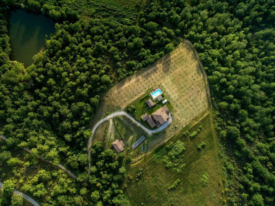 Green, Aerial Photography, Vegetation, Bird'S-Eye View, Vehicle, Photography, Tree, Grass, Landscape, Plant