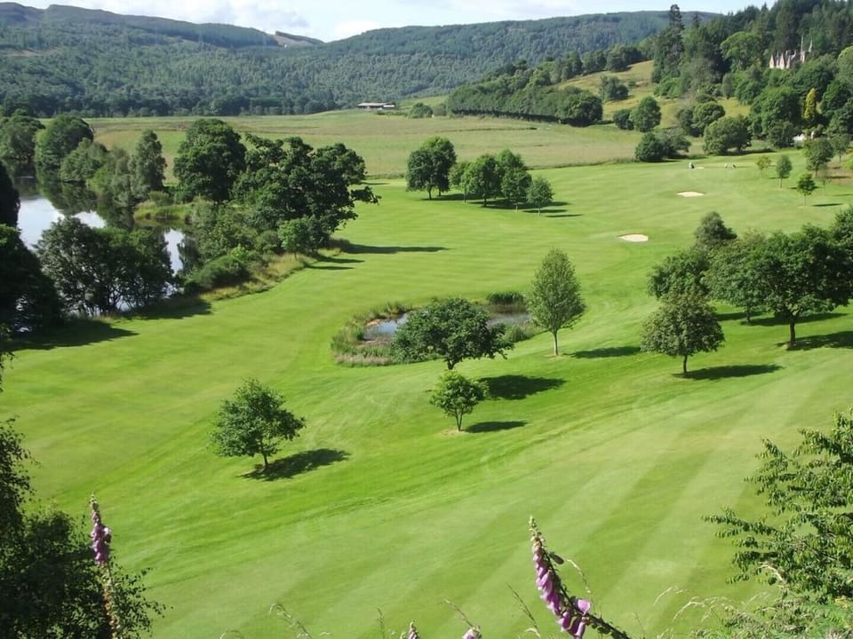 Nine hole golf course 50%