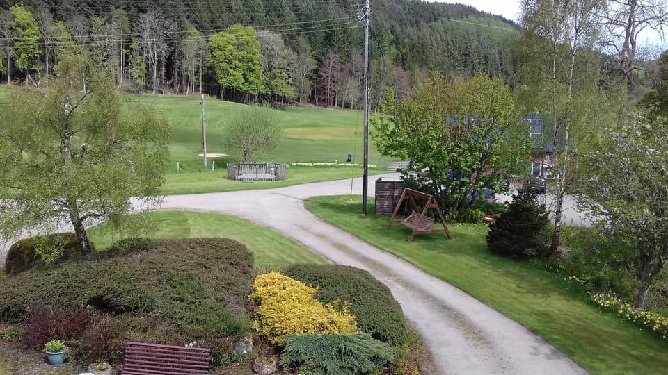 View From Living Room 