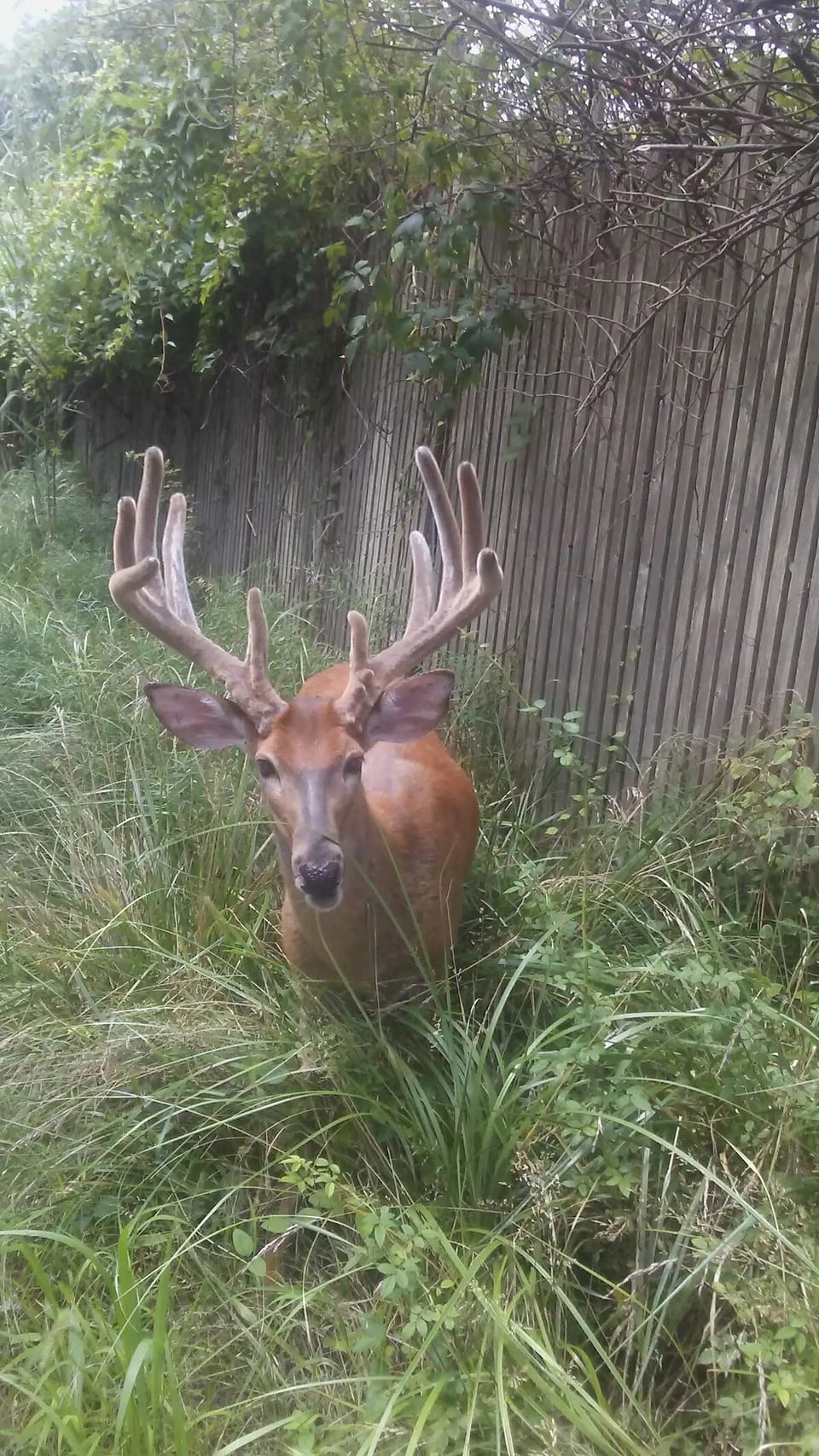 Nature Rules Here!