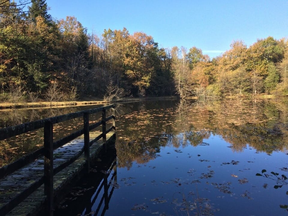 Lake