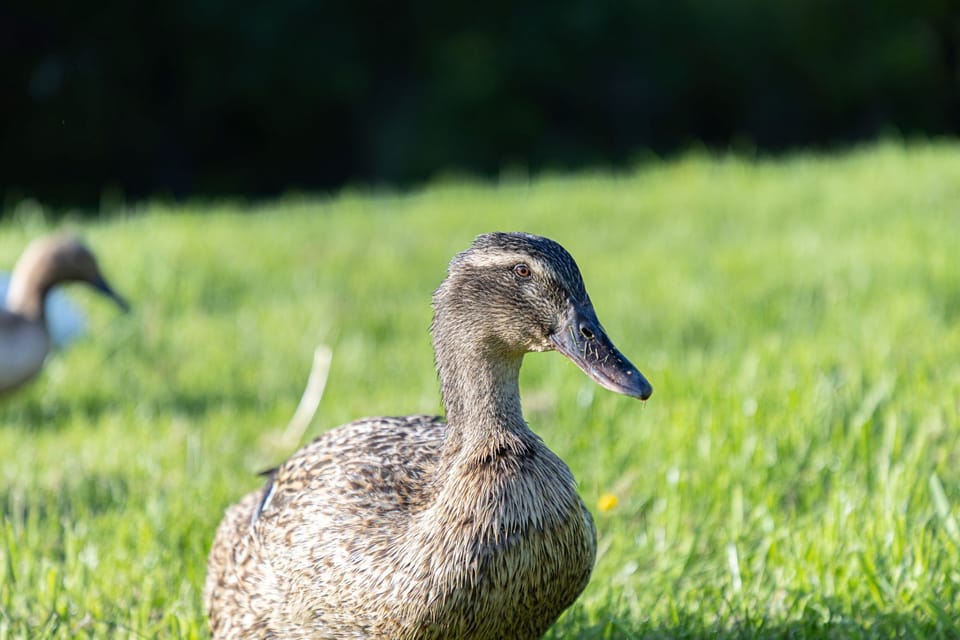 View of surrounding area