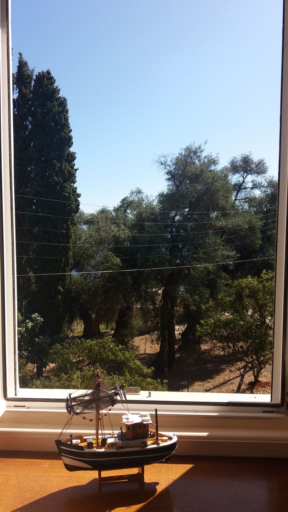 Master bedroom window open to olive grove!