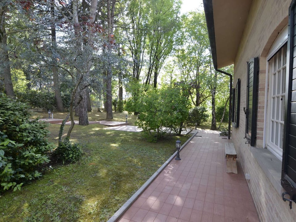 Garden [summer]