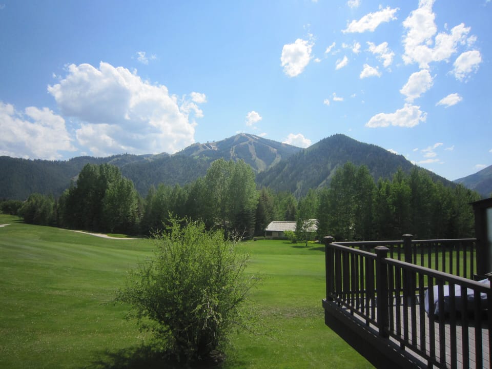 View from the deck (summer)