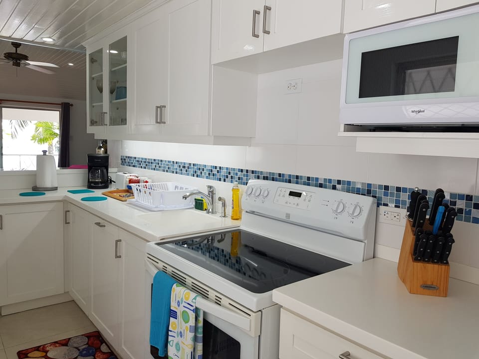 Galley kitchen with electric stove, microwave and large fridge