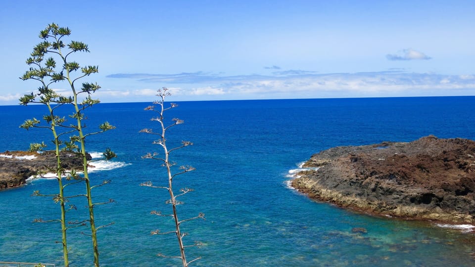 The walk to EL Pris from La Mesa del Mar. El Roque 205.