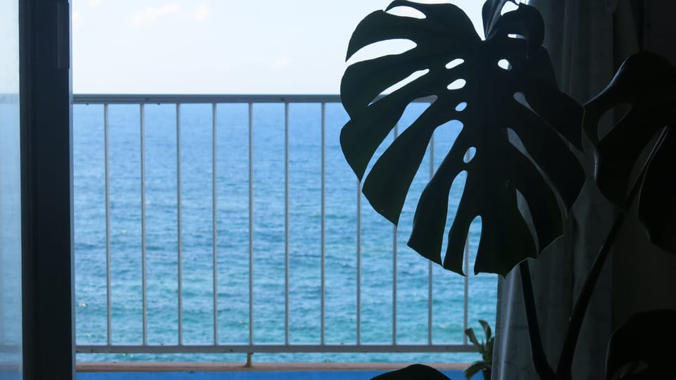 Balcony to the Atlantic Ocean at El Roque 205. Tenerife.Taconronte. Mesa del Mar