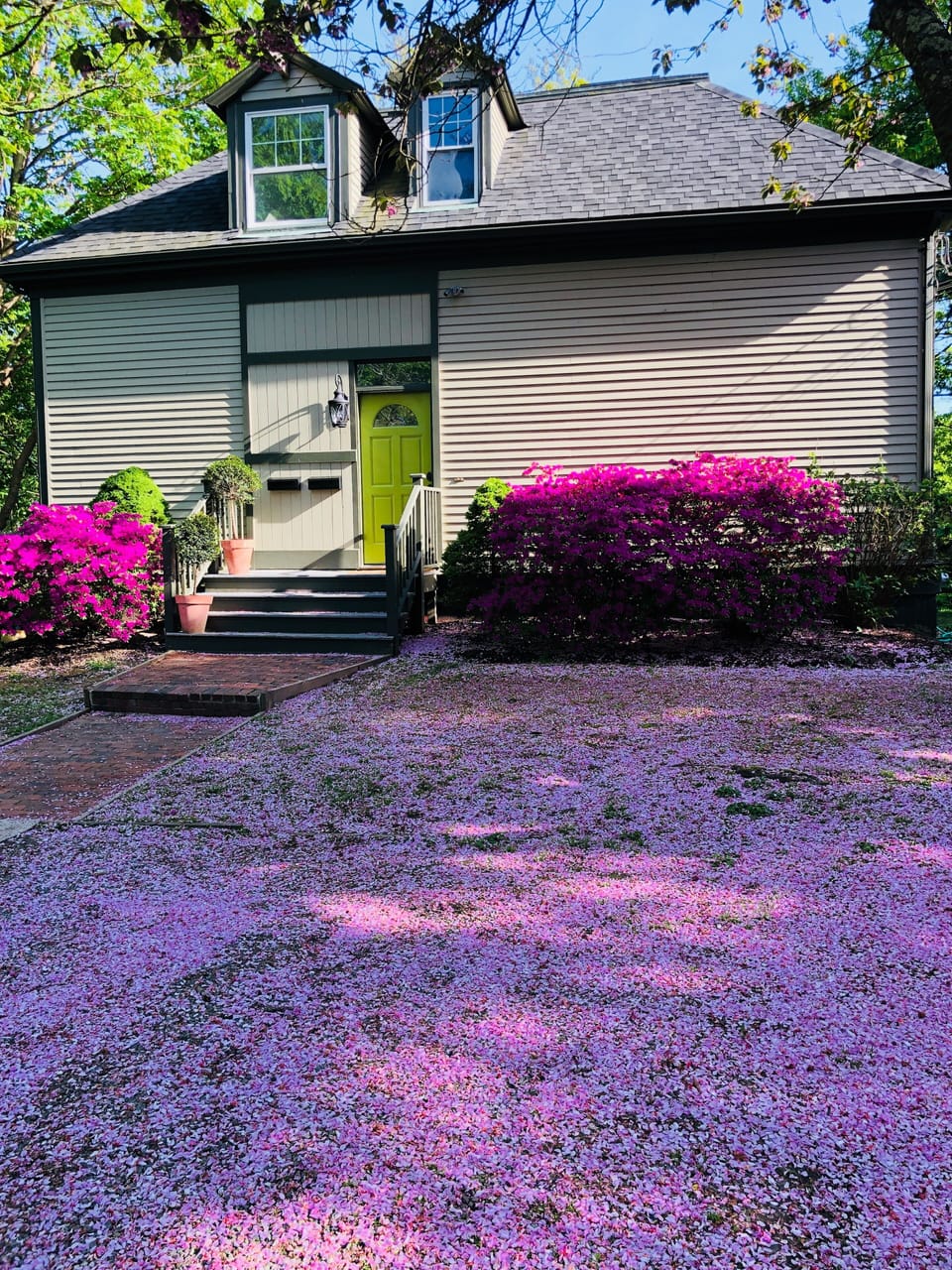 FRONT OF HOUSE