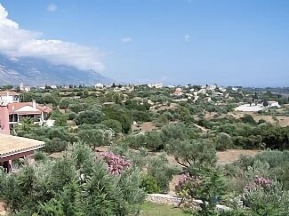 Views of surrounding area