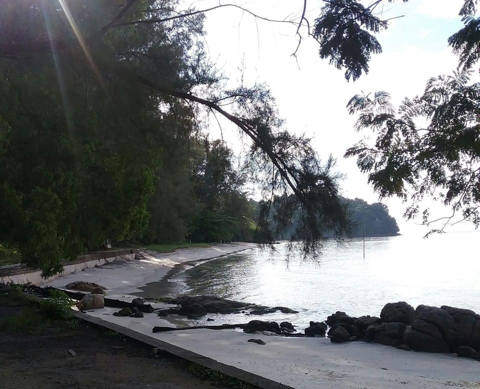 Sandy beach by the bay