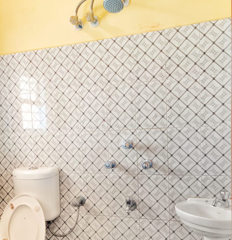 bathroom with geyser 