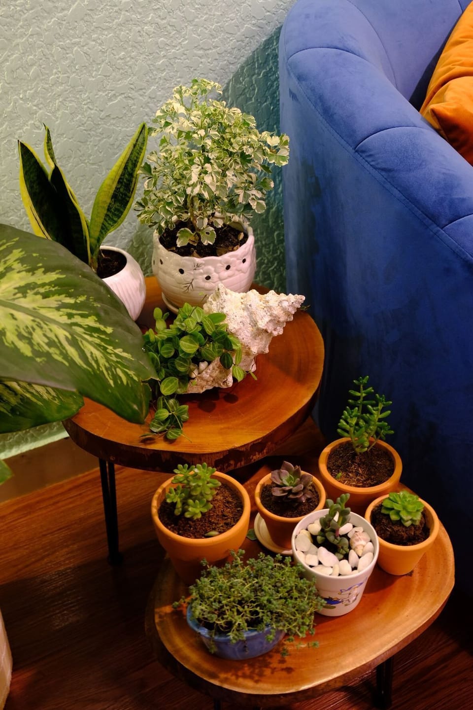 Interior detail