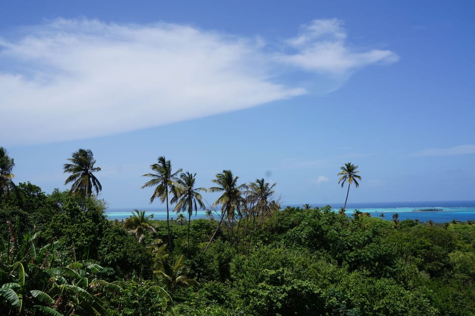 Vista desde la propiedad