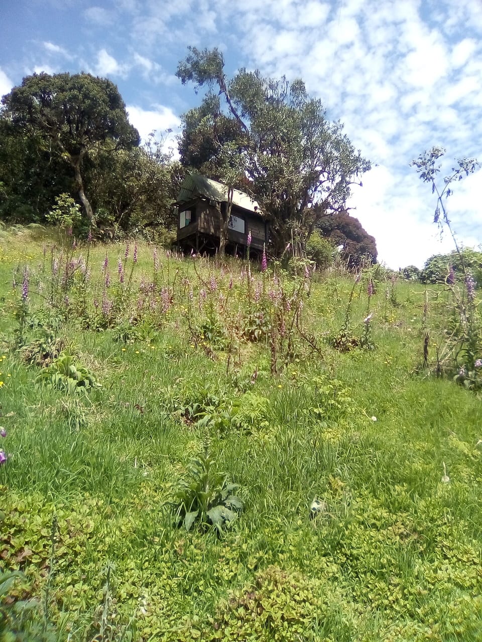 Finca Agroecolgica Nigayala