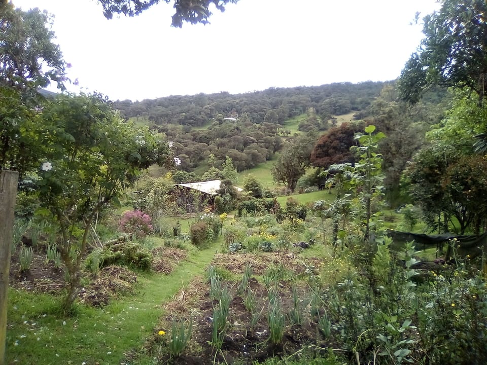 Finca Agroecolgica Nigayala