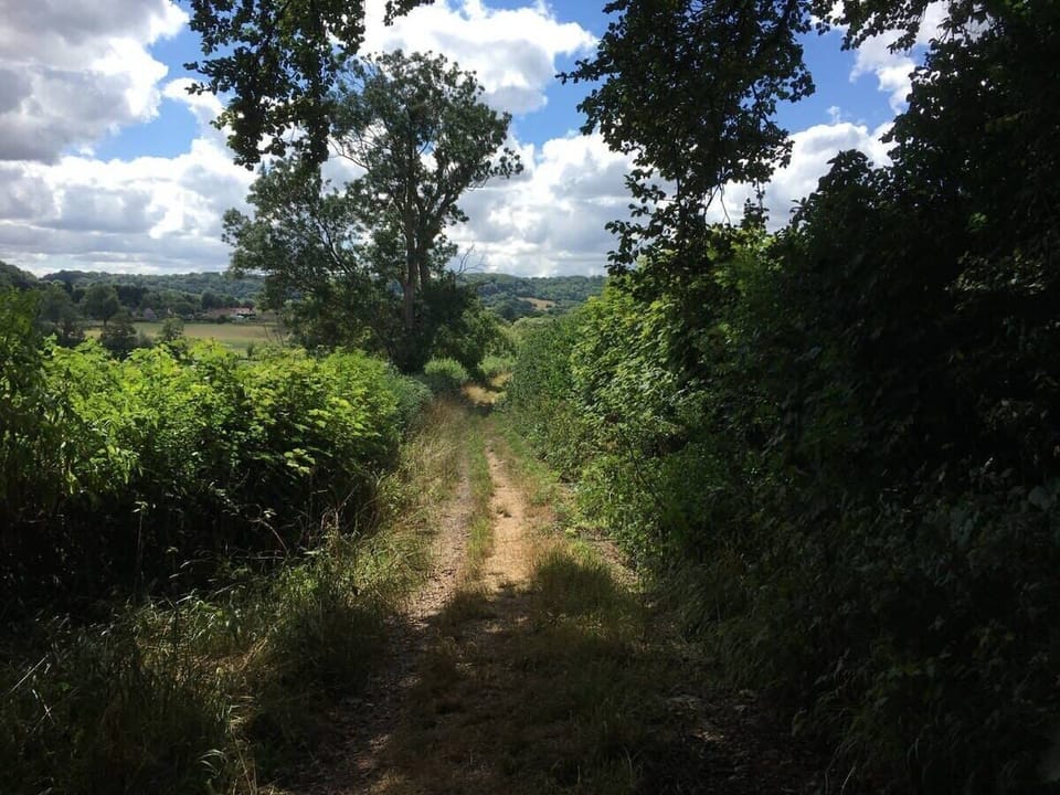 Country walks within minutes of apartment