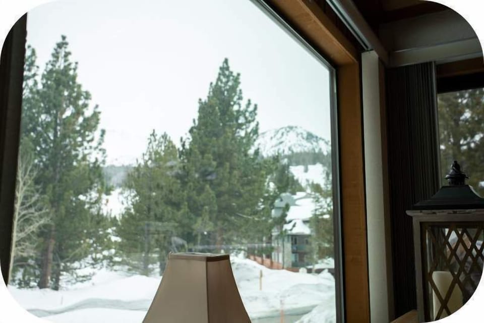 A room with a view, winter or summer