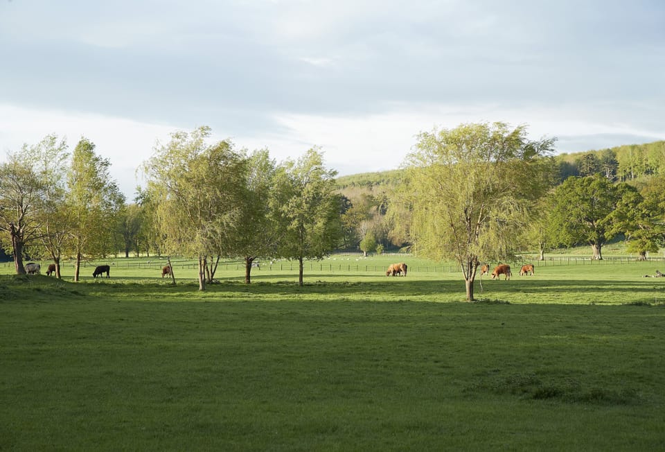 Staying on a working farm, you'll enjoy all the benefits of being away from it all, with wildlife and walks on your doorstep