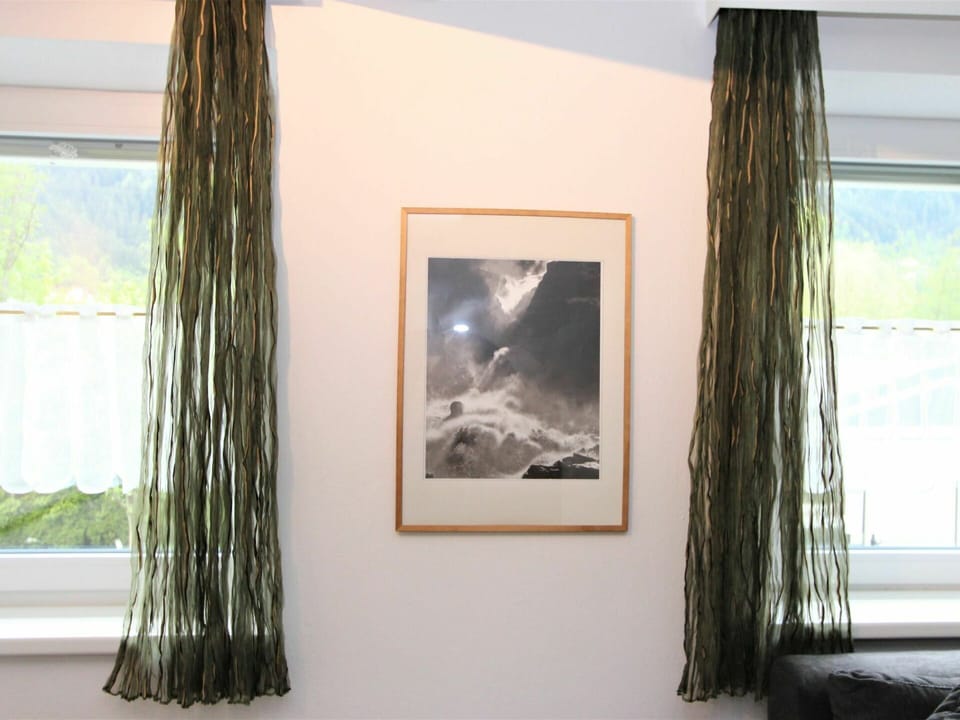 Plant, Green, Wood, Picture Frame, Branch, Paint, Rectangle, Interior Design, Art, Tree