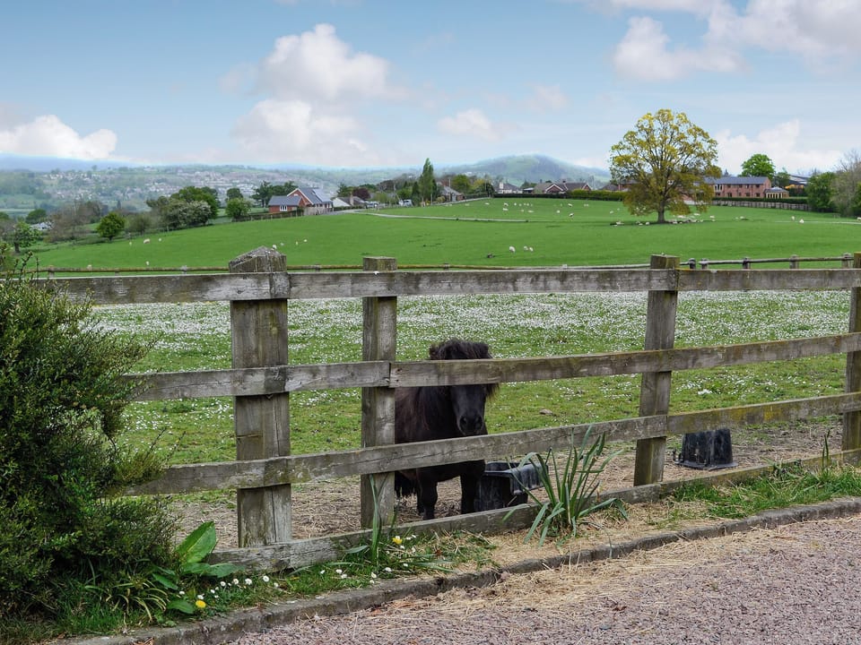 View | Powis Castle View, Forden, near Welshpool