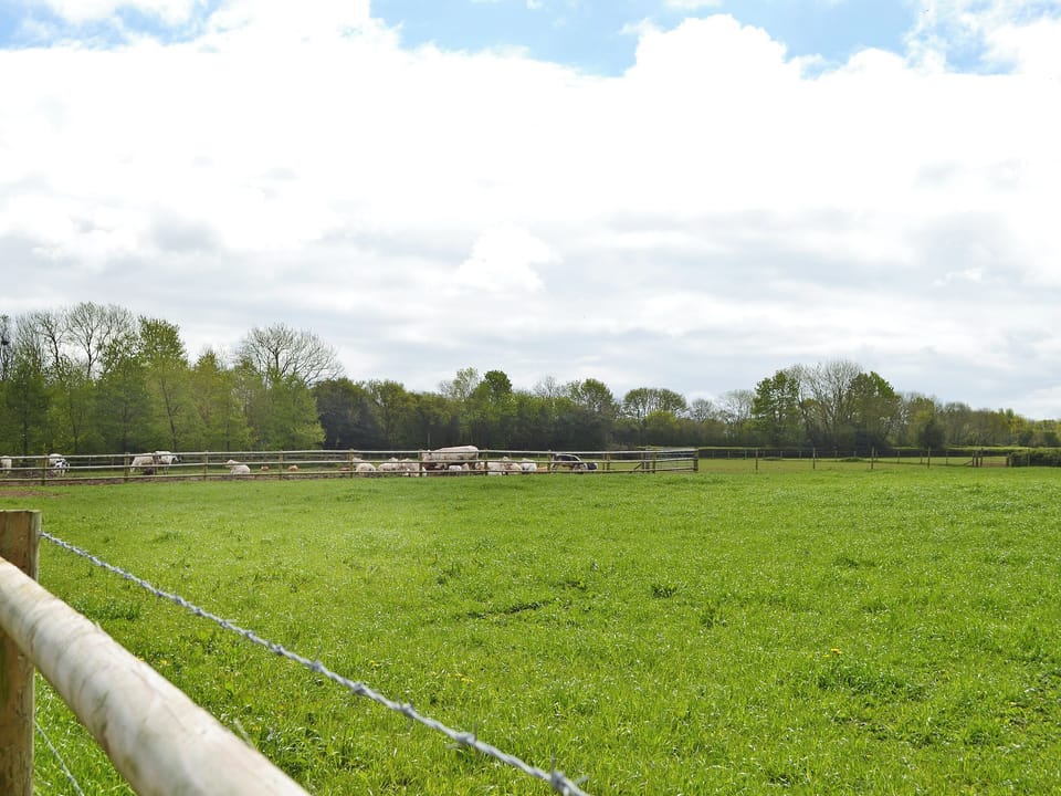 Wonderful surrounding area | Llama Lodge, Churchstanton, near Honiton