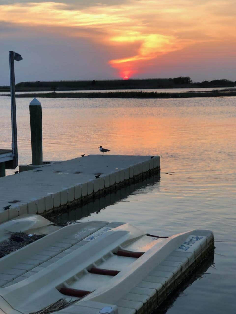 Bayside Sunsets