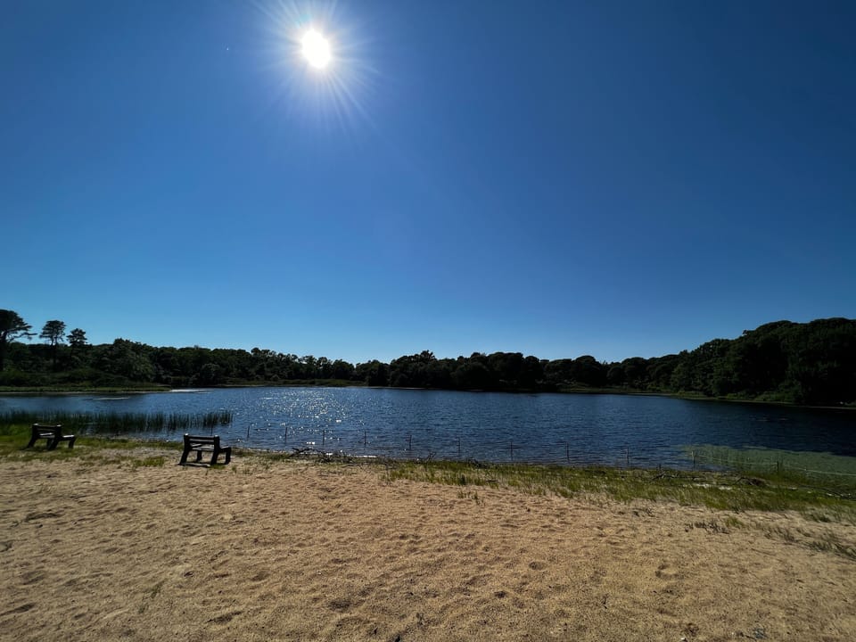 Beach at pond in complex (water is tested weekly for swimming in season)