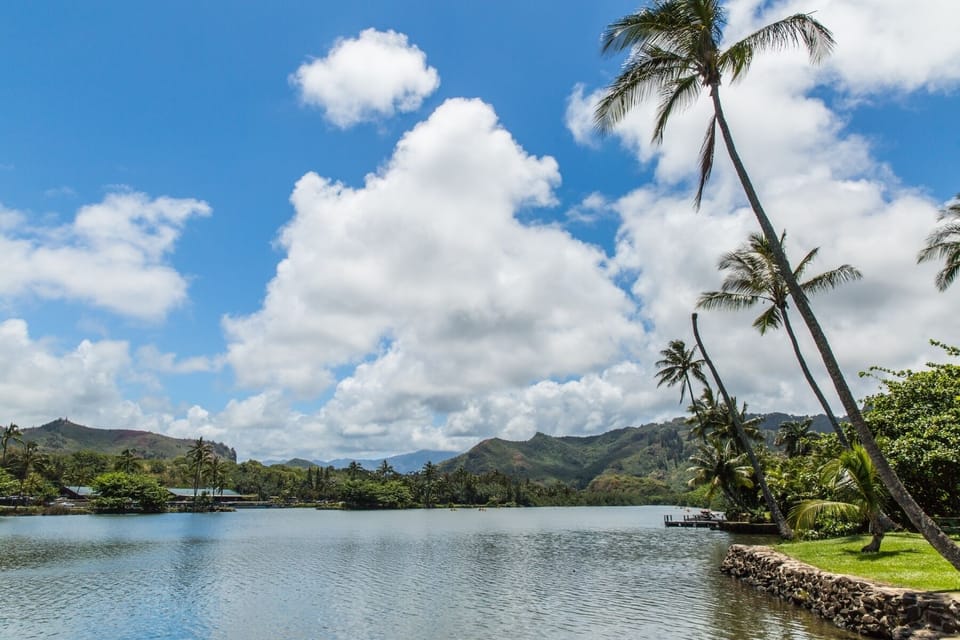Kayak the Wailua River, 2 miles south