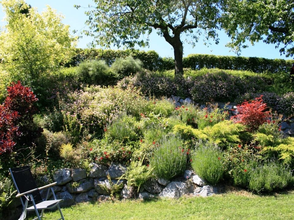 Garden [summer]