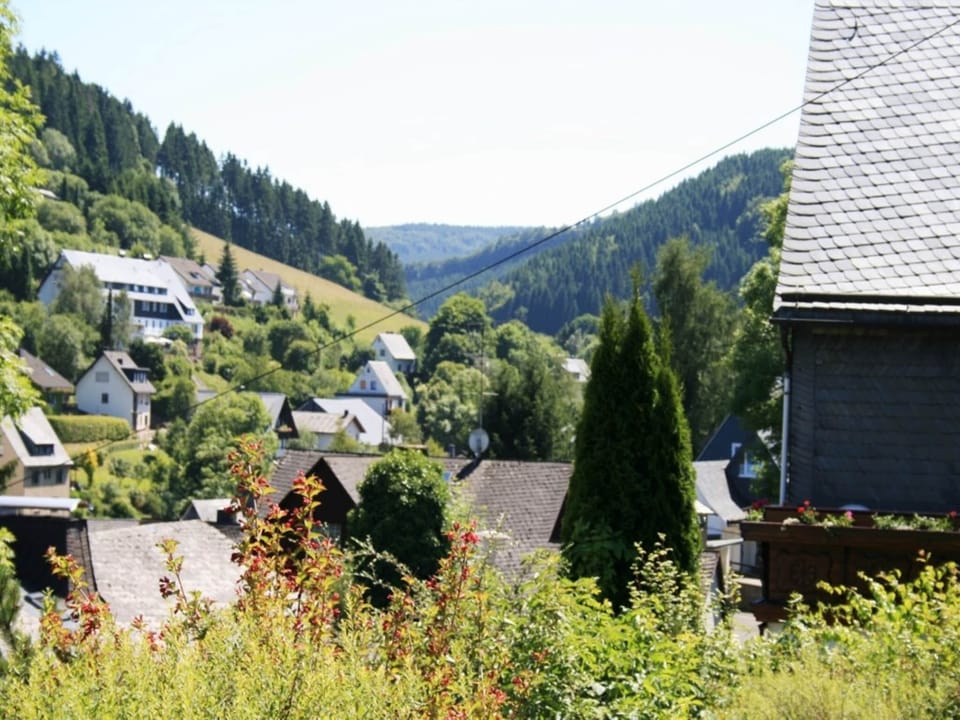 View from Holiday Home [summer]