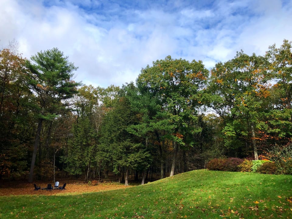 View of back yard from upper deck.