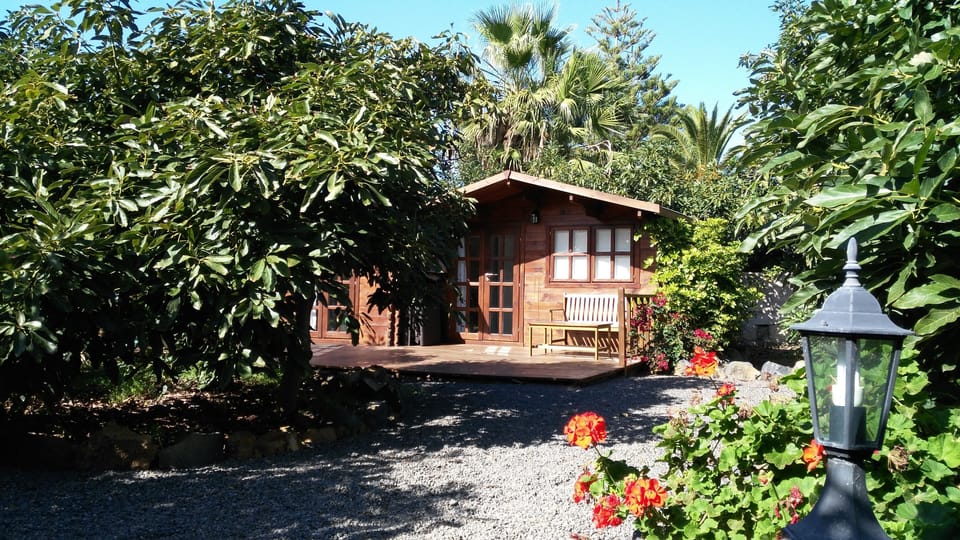 Your cottage in middle of avocado trees