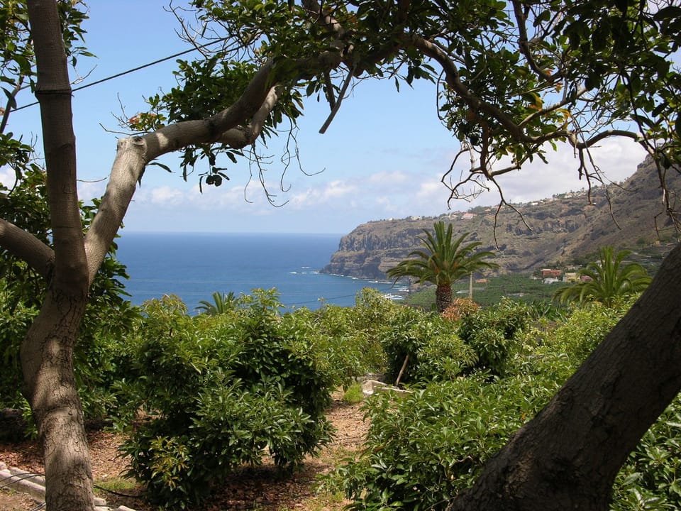 View from the premises.