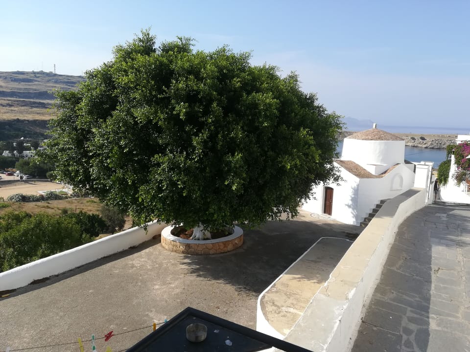 View when sitting outside