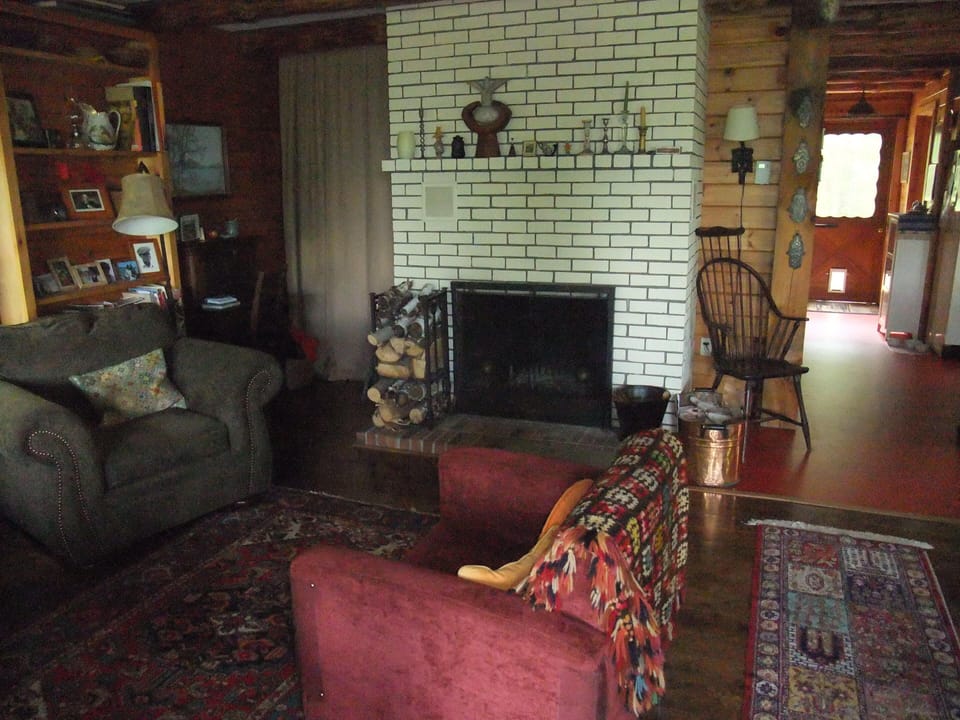 Living room with fireplace