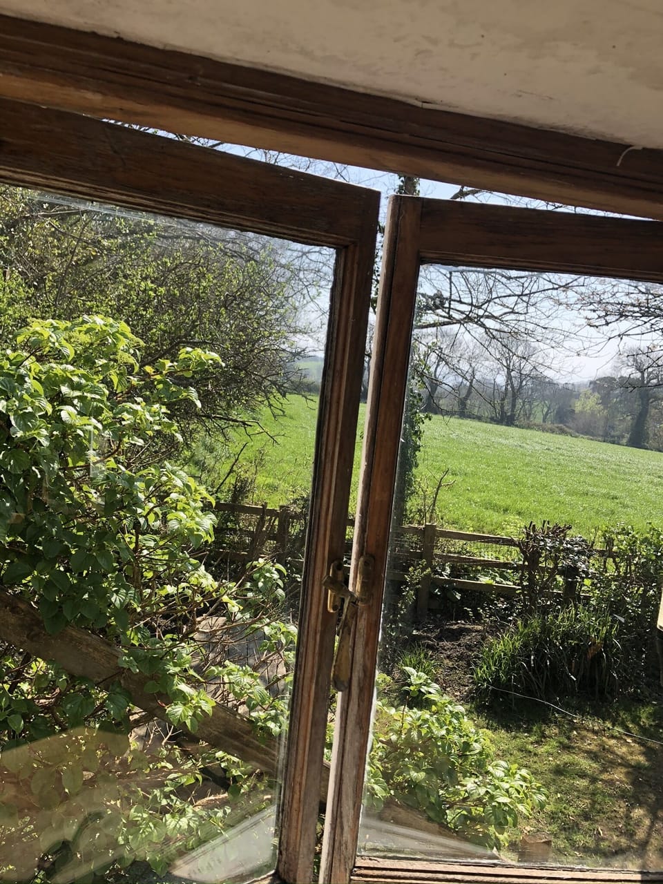 View from dining room/kitchen