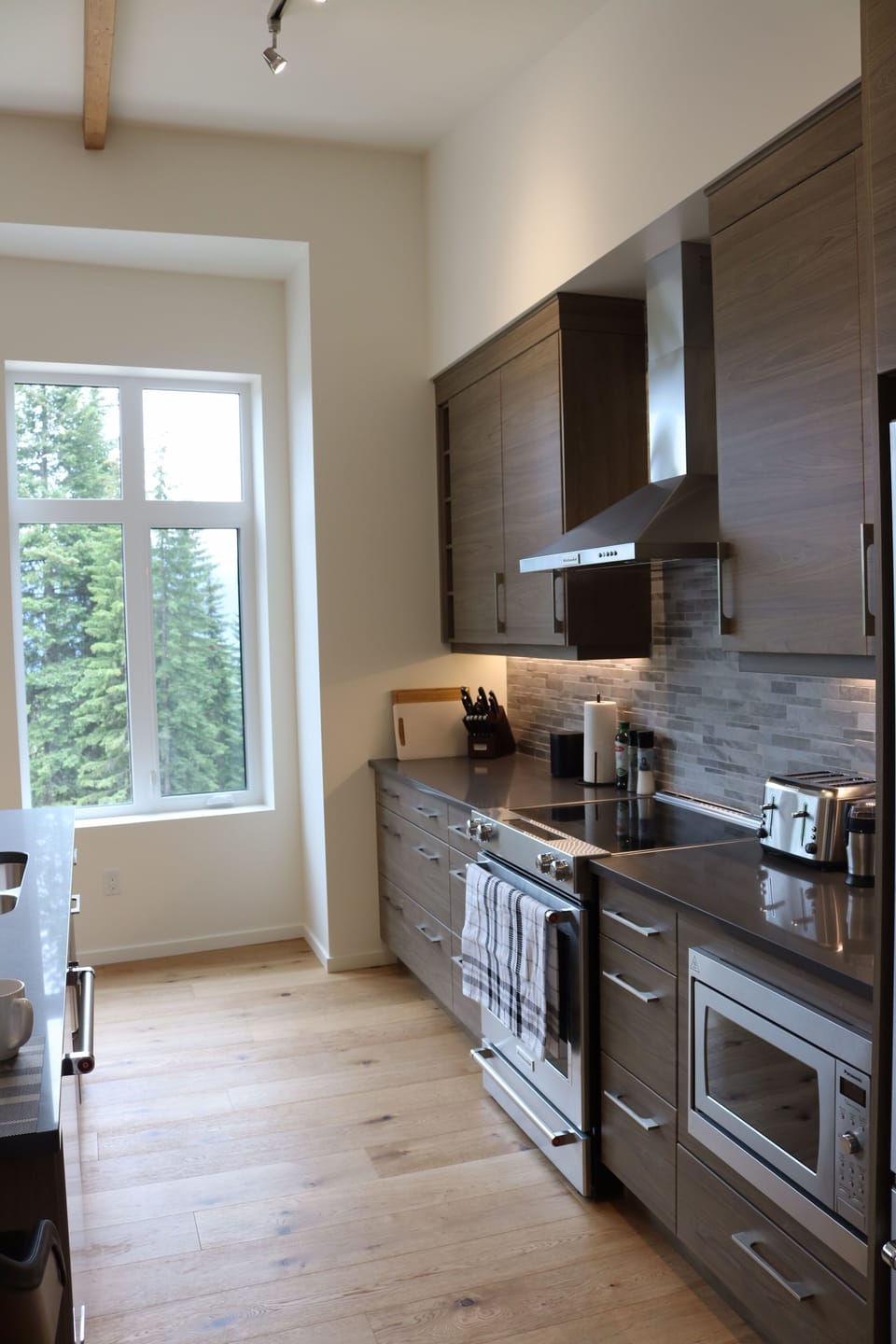 Dishwasher, microwave, stove and small appliances.