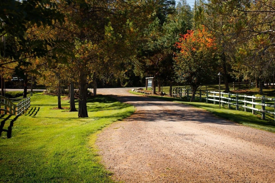 An entrance that sets the tone for everything ahead.
